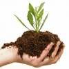 Grow With Us